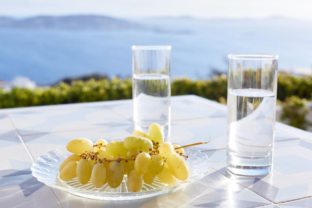 Amare Mykonos Villa Tourlos Eksteriør billede